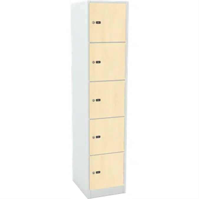 5-Compartment Locker Laminate Door W:300 D:500 H:1850