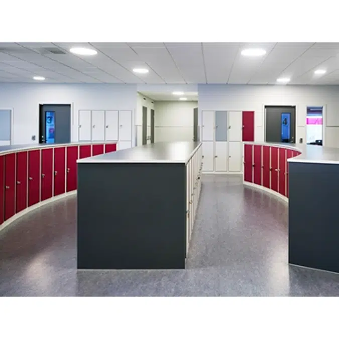 Low Height Locker 300, Laminate Door