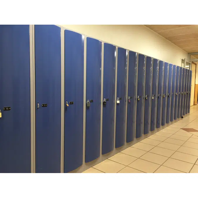 School Locker, Convex Steel Door W:300 D:500 H:1500