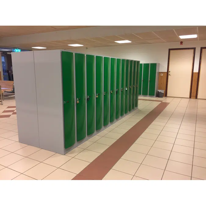 School Locker, Convex Steel Door W:300 D:500 H:1500