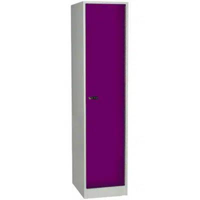 Clothing Locker Laminate Door W:300 D:500 H:1700