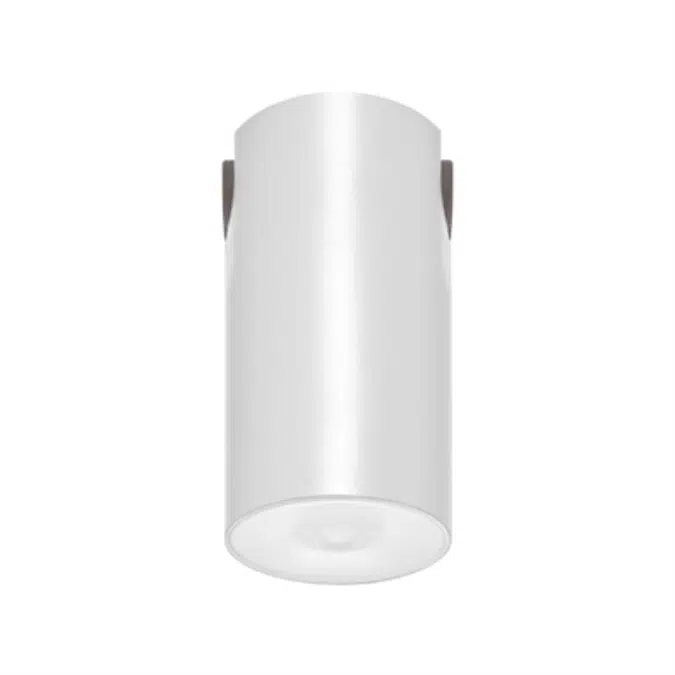 LENS WATERTIGHT CEILING-MOUNTED SELF-CONTAINED