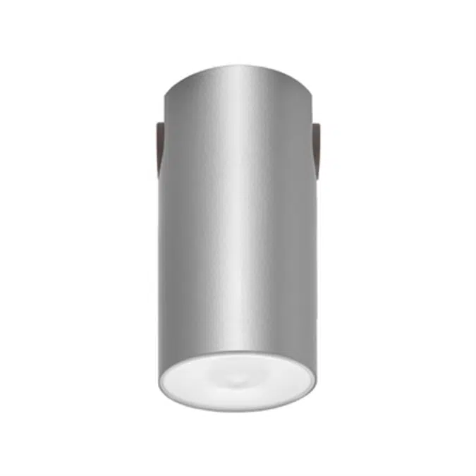 LENS WATERTIGHT CEILING-MOUNTED SELF-CONTAINED