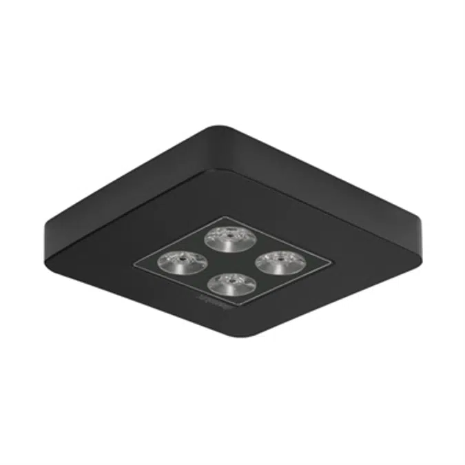 ZINER L