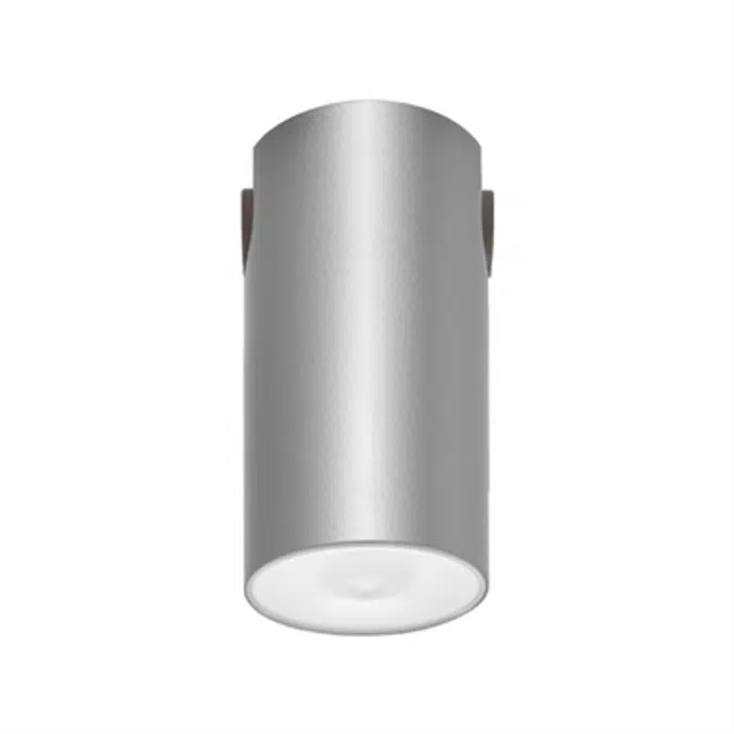 LENS WATERTIGHT CEILING-MOUNTED LUMINAIRE