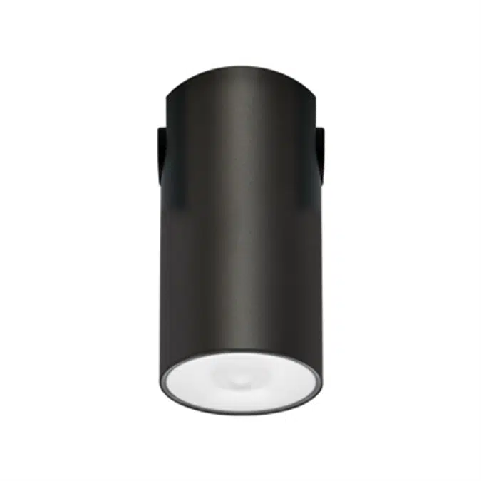 LENS WATERTIGHT CEILING-MOUNTED LUMINAIRE