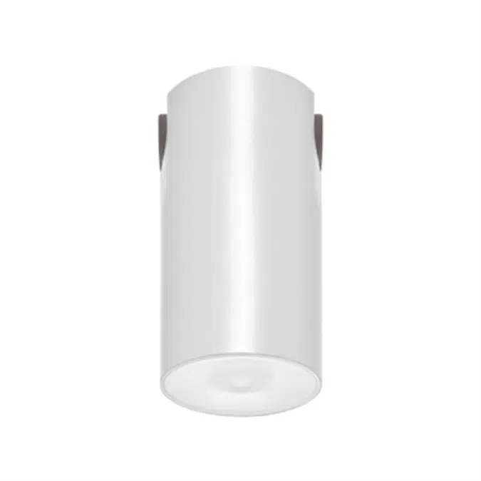 LENS WATERTIGHT CEILING-MOUNTED LUMINAIRE