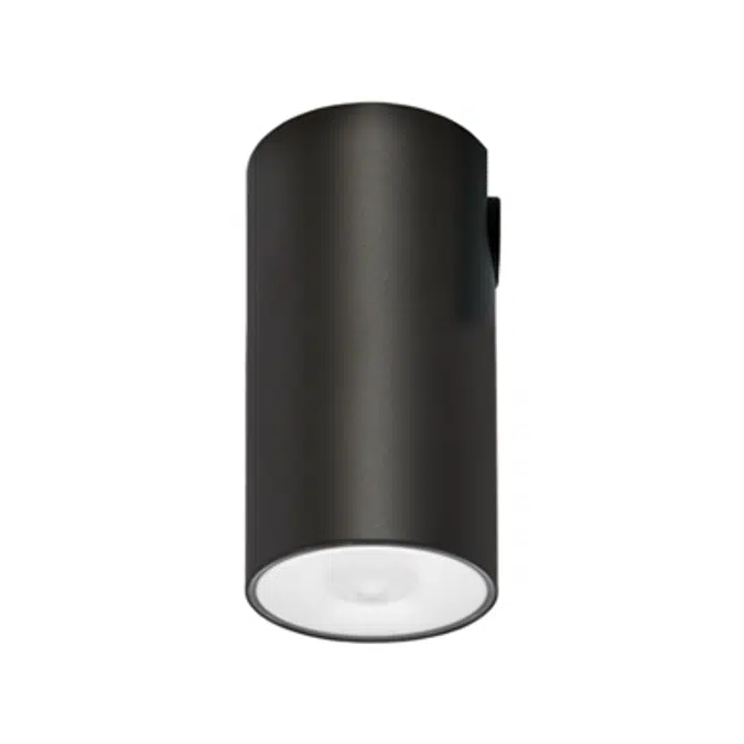 LENS WATERTIGHT CEILING-MOUNTED LUMINAIRE