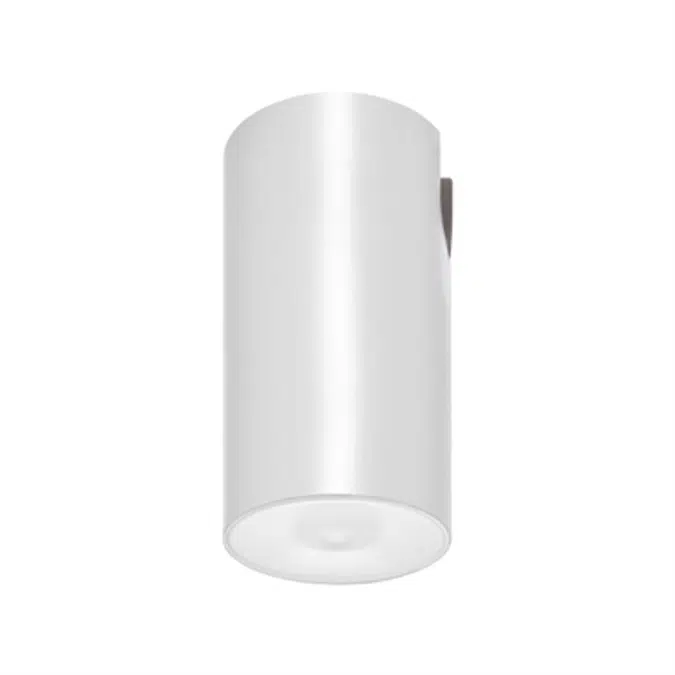 LENS WATERTIGHT CEILING-MOUNTED LUMINAIRE