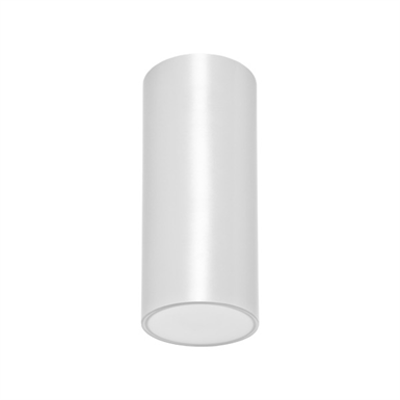 Image for LENS NF CEILING-MOUNTED LSC