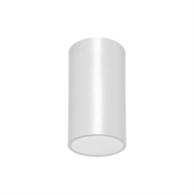 LENS CEILING-MOUNTED LUMINAIRE