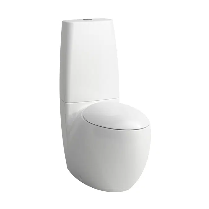 ILBAGNOALESSI Floorstanding WC close-coupled, washdown, rimless, outlet horizontal or vertical