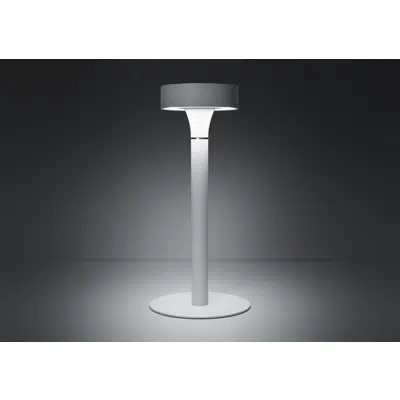 Tres Jolie Table lamp图像