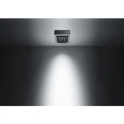 Image for Catch surface mounted