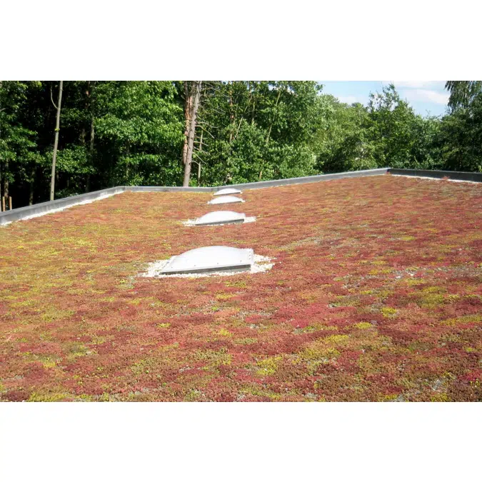 RubberGard EPDM Green Roof