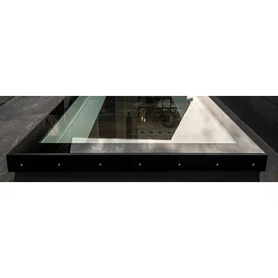 imagen para VELUX Modular Rooflight Monolight Burglary-resistant 