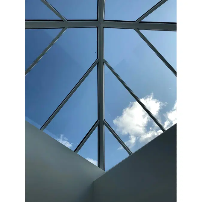 Verrière Aluminium VELUX 