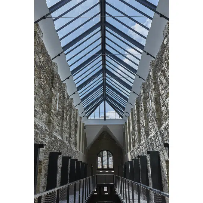 Verrière Aluminium VELUX 