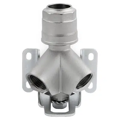 Image for 2 Ways Inclined Manifold Tube-Female - Inox316L - 90660X