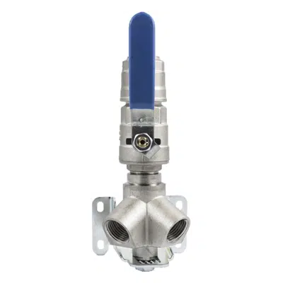 Image for 2 Ways Inclined Minifold Valve-Female Nptf - 90665