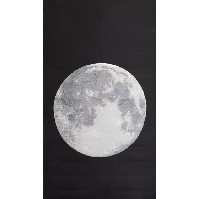 Fabric with moon's surface design [ fullmoon silver ]