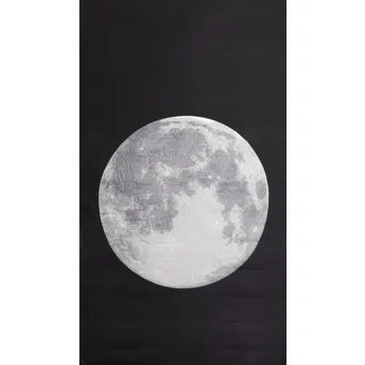 Image for Fabric with moon's surface design [ fullmoon silver ]