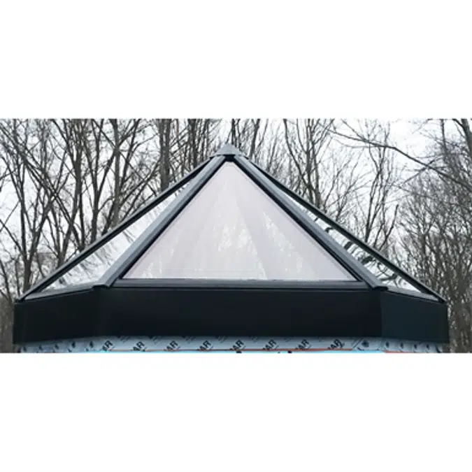 Polygon Skylight Model SI5006