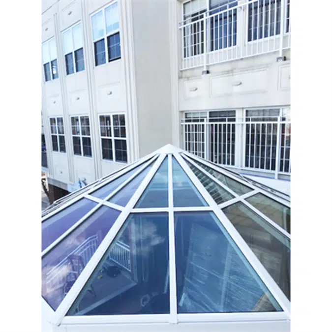 Polygon Skylight Model SI5006