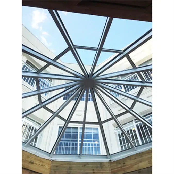 Polygon Skylight Model SI5006