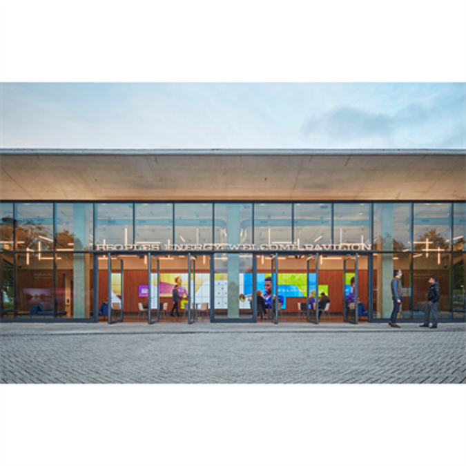 Curtain Wall Pivot Door Revit Family