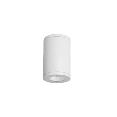 Image for Tube Architectural - 5" Ceiling Mount