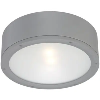 Image for Tube - 12" Ceiling Mount 3000K