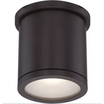 Image for Tube - 5" Ceiling Mount 3000K