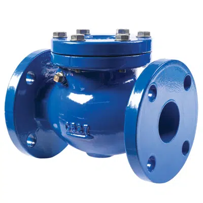 Image pour Cast Iron Swing Check Valves, Sizes 2-12 IN - Series 411