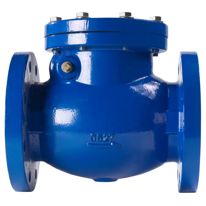 Cast Iron Swing Check Valves, Sizes 2-12 IN - Series 411