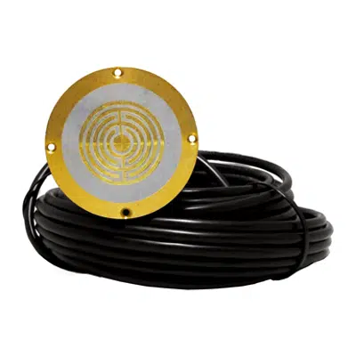 Image for Snow/Ice Sensor, In-slab, 65 FT (20 m) Wire - 090