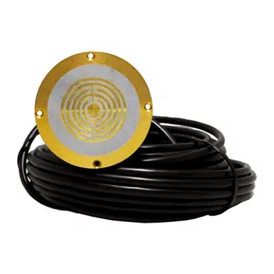 imagen para Snow/Ice Sensor, In-slab, 65 FT (20 m) Wire - 090