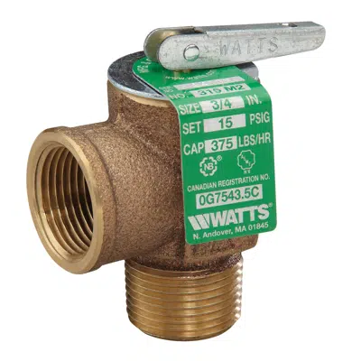 Image for Steam Safety Relief Valves, ASME Section IV - 315-M2