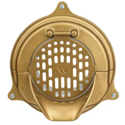 Image for Wallflower™ Downspout Nozzle - RDA-940