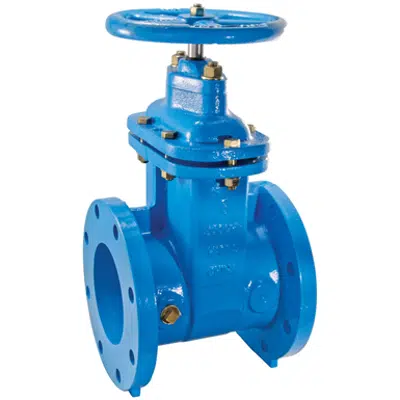 画像 NRS Flanged Gate Valves - 405-NRS-RW