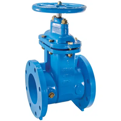 Image for NRS Flanged Gate Valves - 405-NRS-RW