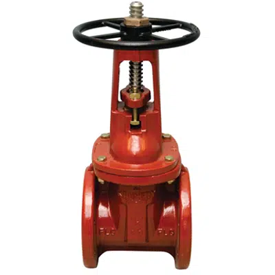 NRS Flanged Gate Valves - 408-OSY-RW图像