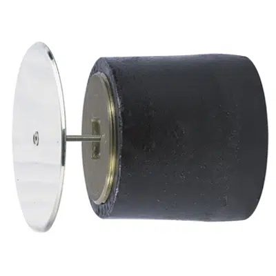 Image for Cleanout Ferrule with Brass Plug and Wall Access Cover - CO-380-RD