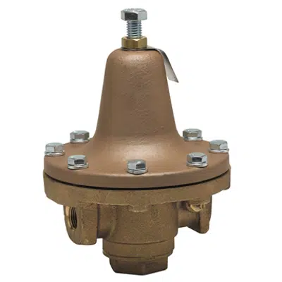 Bronze Process Steam Pressure Regulators - 252A图像