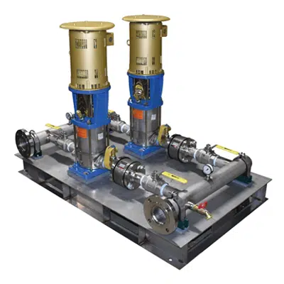 Image for Duplex Vertical Multistage Booster Pump Package - RWP-2-DVM