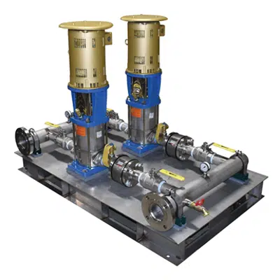 Image for Duplex Vertical Multistage Booster Pump Package - RWP-3-DVM