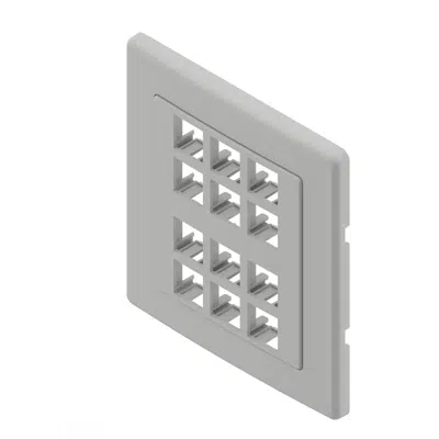 imagen para MDVO Double-Gang Faceplates, 12-port