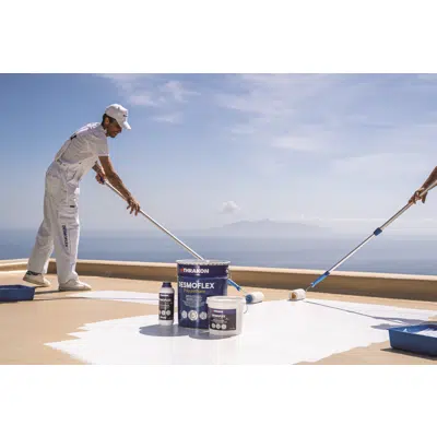 Image for Waterproofing PU System