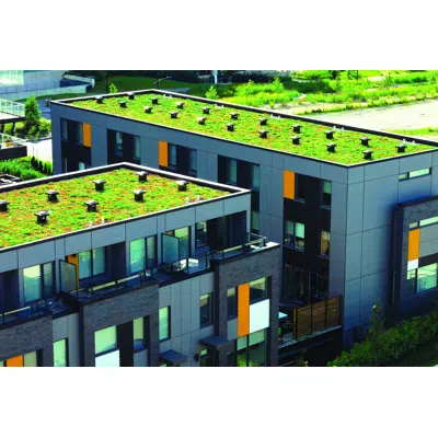 Green Roof waterproofing with polyurethane-bituminous liquid waterproofing membrane ISOFLEX-PU 560 BT 이미지