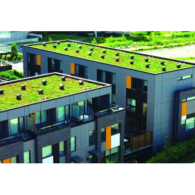 Imagem para Green Roof waterproofing with polyurethane-bituminous liquid waterproofing membrane ISOFLEX-PU 560 BT}